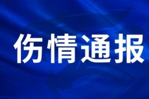 世界杯小组赛突尼斯vs日本直播_世界杯小组赛突尼斯vs日本免费高清直播_世界杯小组赛突尼斯vs日本比分预测40